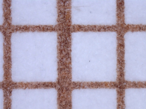 Mikroskop cyfrowy Delta Optical Smart 5MP PRO