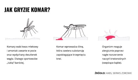 Balsam kojący Mugga na ukąszenia i poparzenia 50 ml