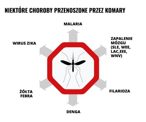 Balsam kojący Mugga na ukąszenia i poparzenia 50 ml