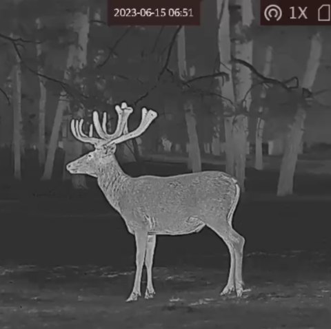 Celownik termowizyjny termowizor HIKMICRO Panther PQ50L 2.0 LRF