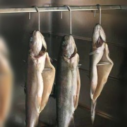 Hak Borniak typ 20 HW-20 3 szt.