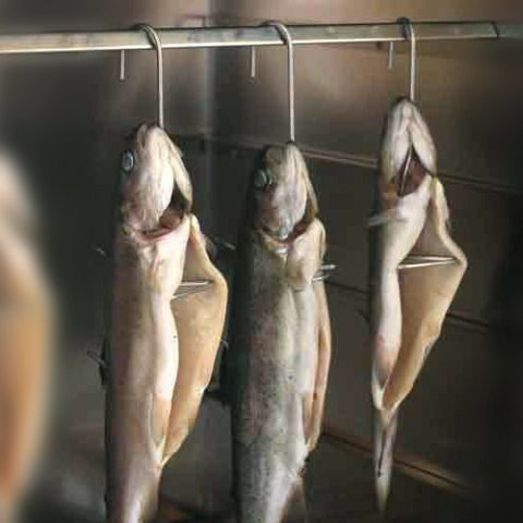 Hak Borniak typ 20 HW-20 3 szt.