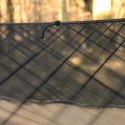 Hamak TigerWood Ważka V1 z moskitierą pustynny