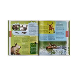 Książka Andrzej Kruszewicz opowiada 