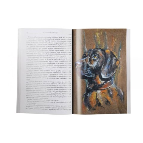 Książka JAK WYCHOWAĆ I WYSZKOLIĆ PSA Jerzy Woźniak