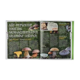 Książka Wojciech Gil opowiada 