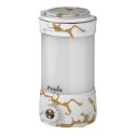 Lampa kempingowa Fenix CL26R Pro biały marmur