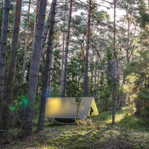 Tarp Lesovik GROZA mayfly green