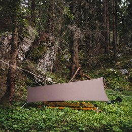 Tarp Lesovik ZMORA walnut brown