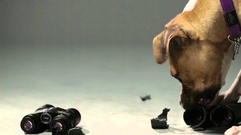 Montaż Vortex Cantilever Precision QR offset 30 mm