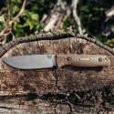 Nóż myśliwski Benchmade 15002-1 Hunt