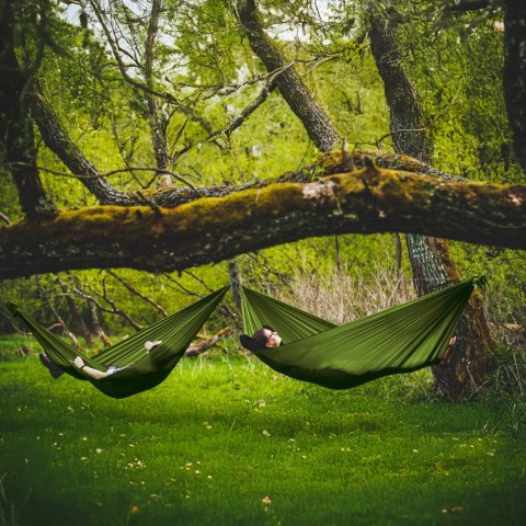 Hamak Lesovik Bystry treetop green