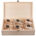 Szklanki do whisky Golden Fox Diamond zdobione odlewanym elementem 6 szt.