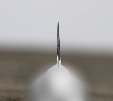 Tojiro Pro Western VG-10 Nóż uniwersalny 15 cm