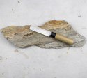 Tojiro Shirogami Nóż Unagisaki Nagoya 10 cm