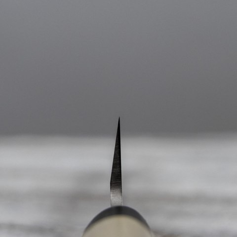 Bunmei Nóż Yanagi Sashimi 27 cm