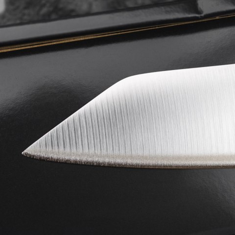 Nóż Yanagi Sashimi 25 cm (praworęczny) | Global G-11R