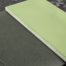 Naniwa Diamond S Kamień do ostrzenia #1000