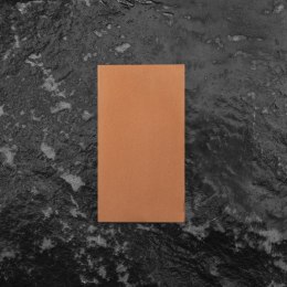 Naniwa Diamond S Kamień do ostrzenia #400