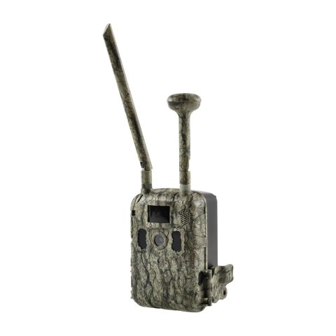 Kamera Fotopułapka T6 GSM