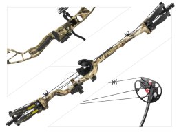 Łuk bloczkowy dla dorosłych i młodzieży Poe Lang Rex Quad 20-65 lb 28