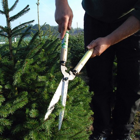 Nożyce Okatsune 231