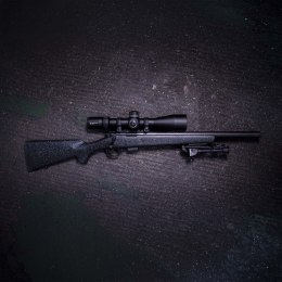 Karabinek Bergara BMR Carbon kal. 22LR 1:16