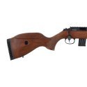 Karabinek bocznego zapłonu Diana R-22 kal. .22 LR Carbon Premium