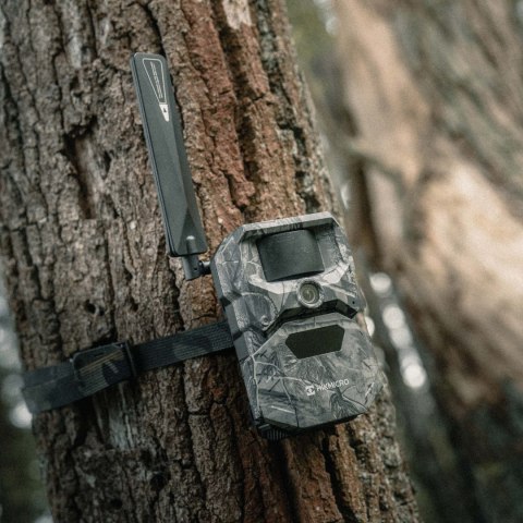 Dwupak kamera fotopułapka HIKMICRO T16 4G LTE